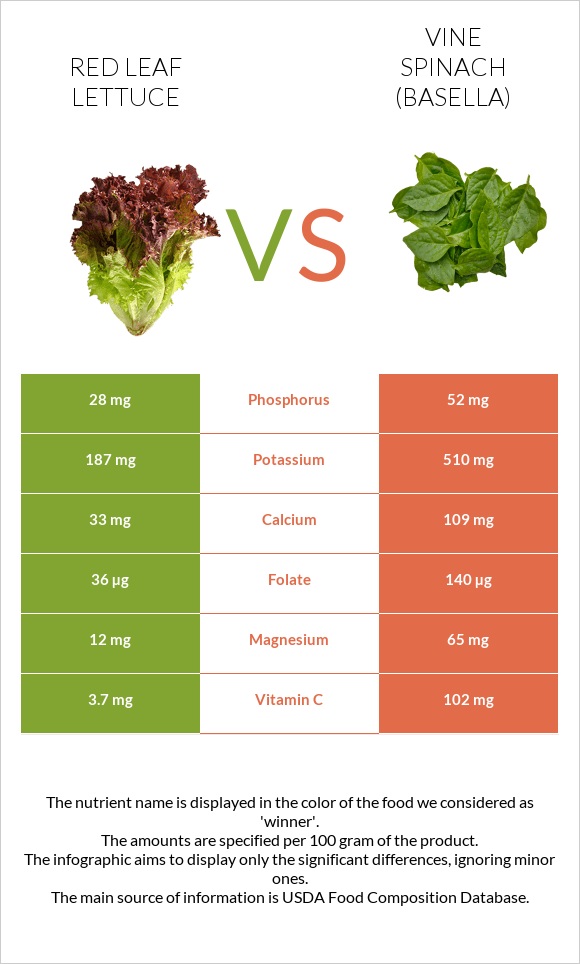 Red leaf lettuce vs Vine spinach (basella) infographic