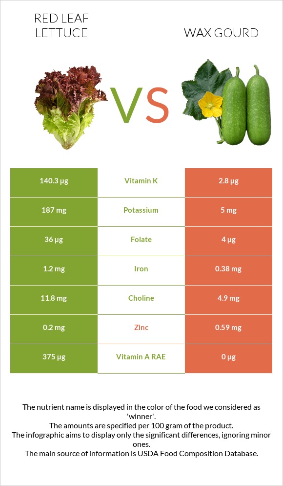 Red leaf lettuce vs Wax gourd infographic