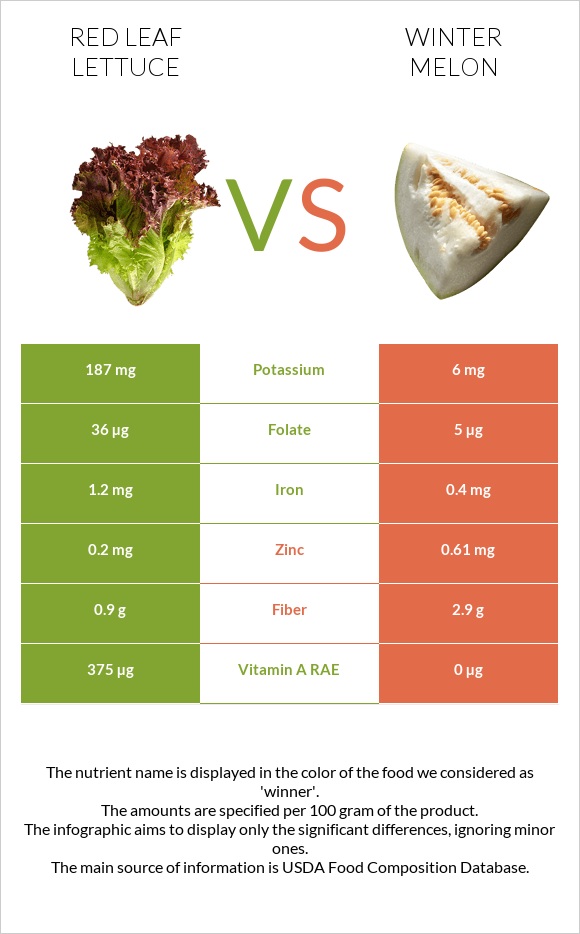 Red leaf lettuce vs Winter melon infographic