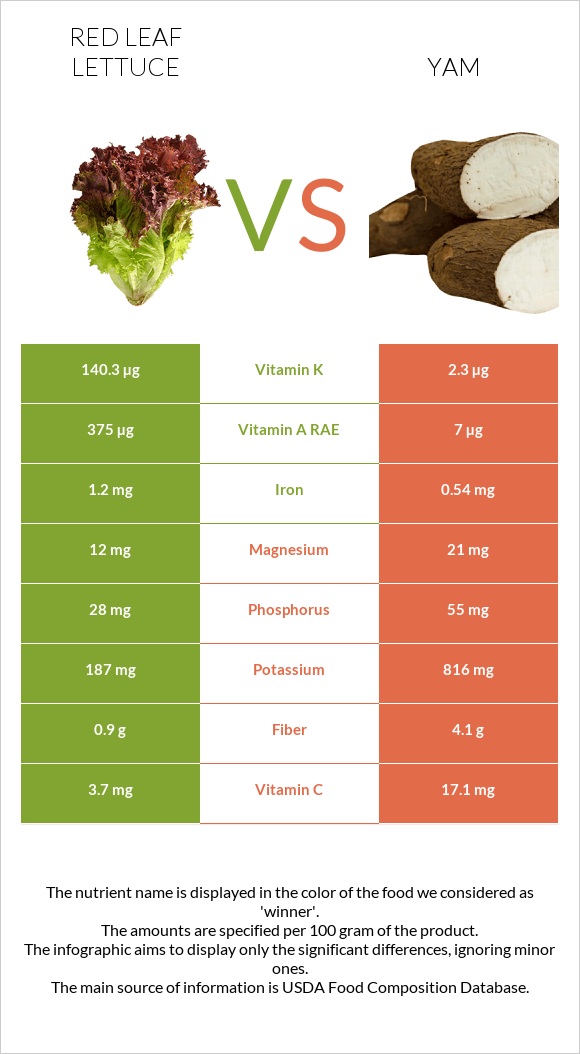 Red leaf lettuce vs Yam infographic