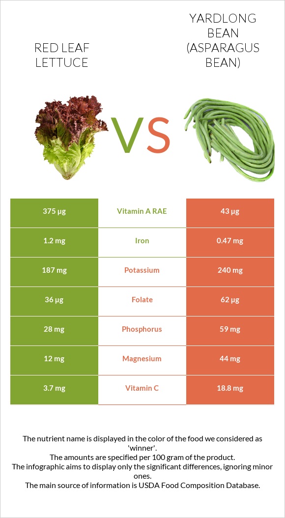 Red leaf lettuce vs Yardlong bean (Asparagus bean) infographic