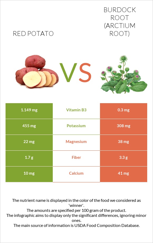 Red potato vs Կռատուկի արմատ (արկտի արմատ) infographic
