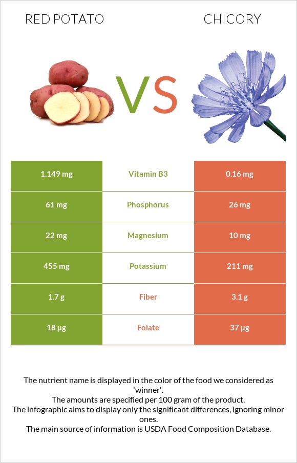 Red potato vs Chicory infographic