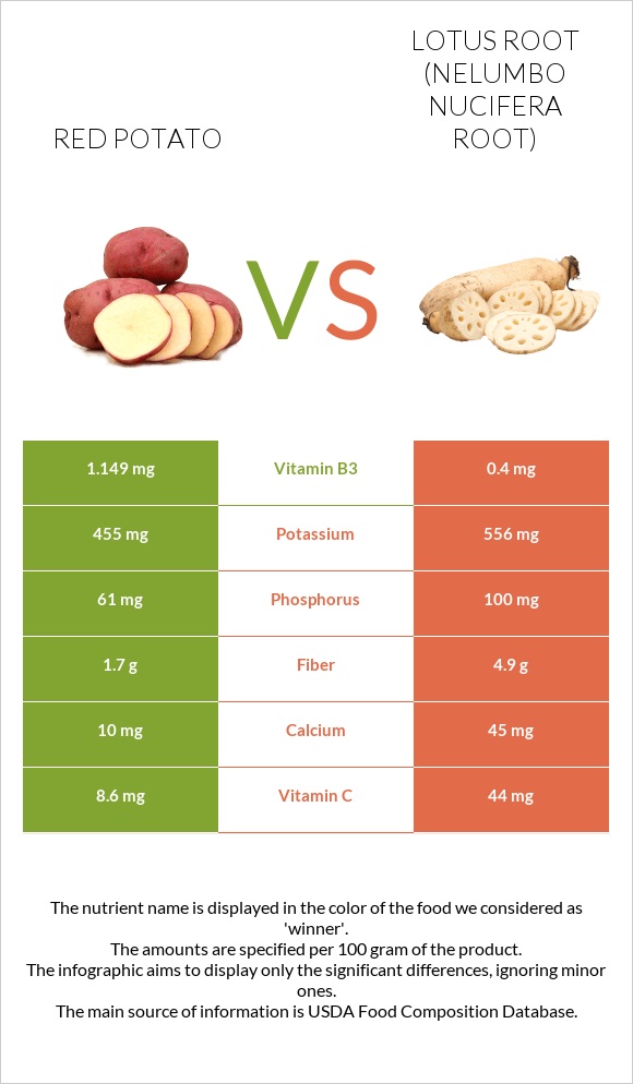 Red potato vs Լոտոս արմատ infographic