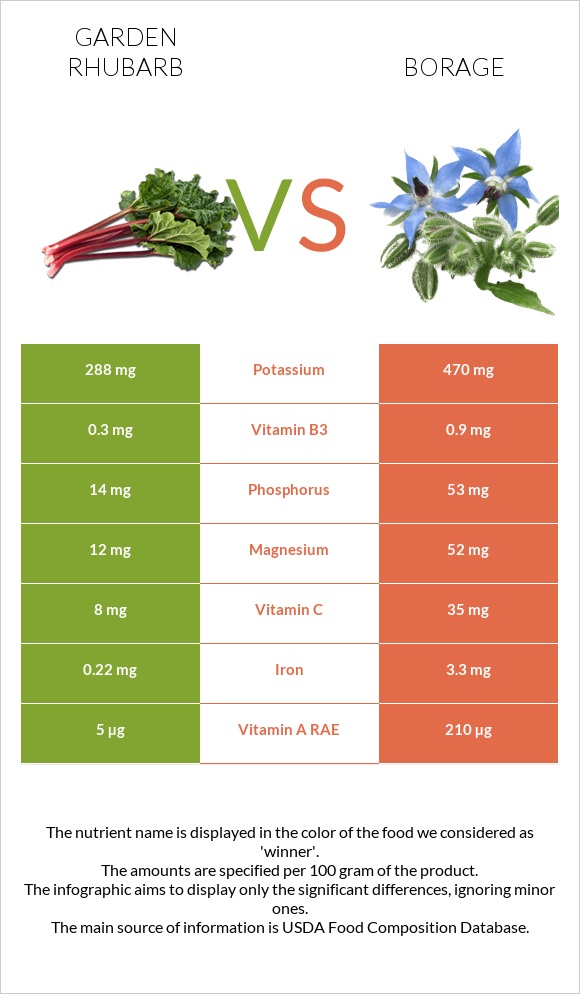 Խավարծիլ vs Borage infographic