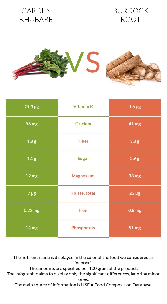 Garden rhubarb vs Burdock root infographic