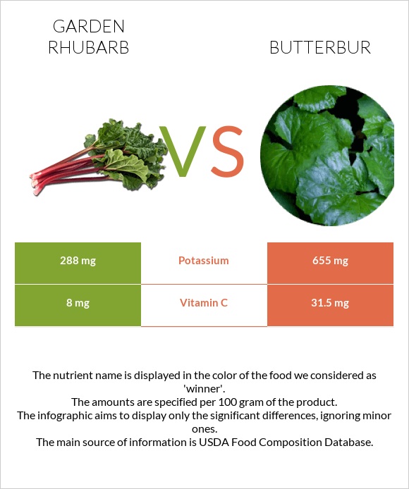 Garden rhubarb vs Butterbur infographic