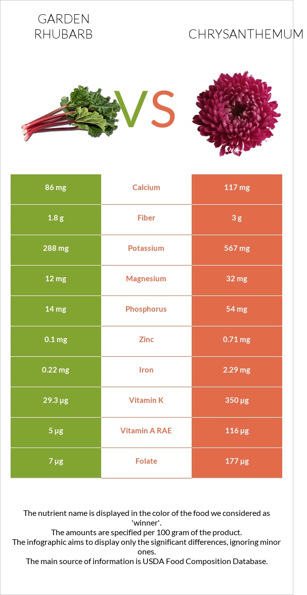 Garden rhubarb vs Chrysanthemum infographic