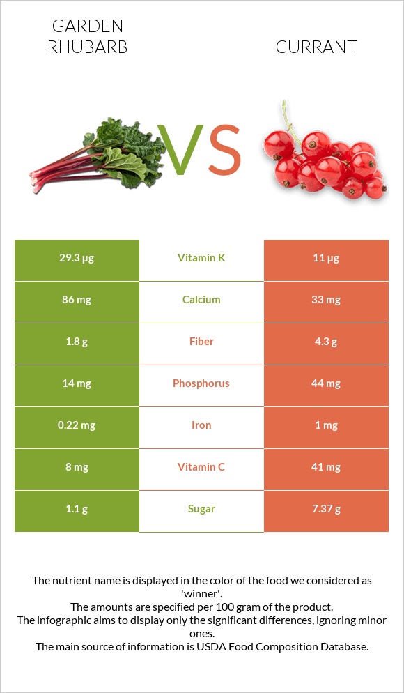 Garden rhubarb vs Currant infographic