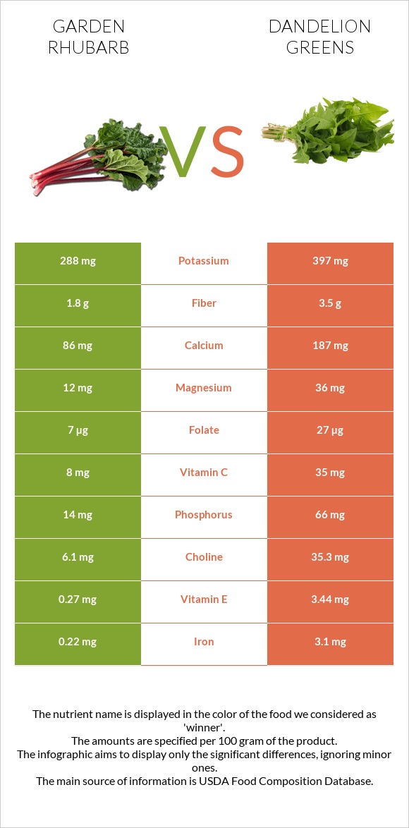 Garden rhubarb vs Dandelion greens infographic