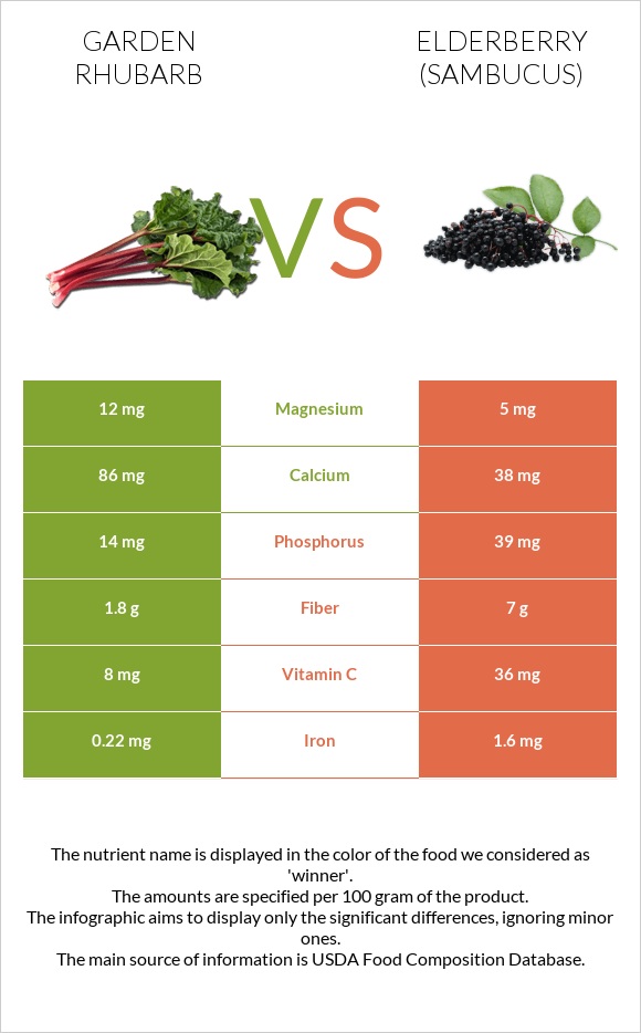 Garden rhubarb vs Elderberry infographic