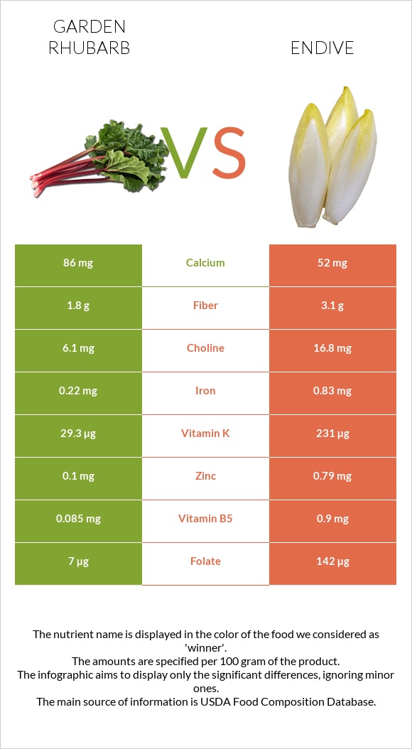Garden rhubarb vs Endive infographic