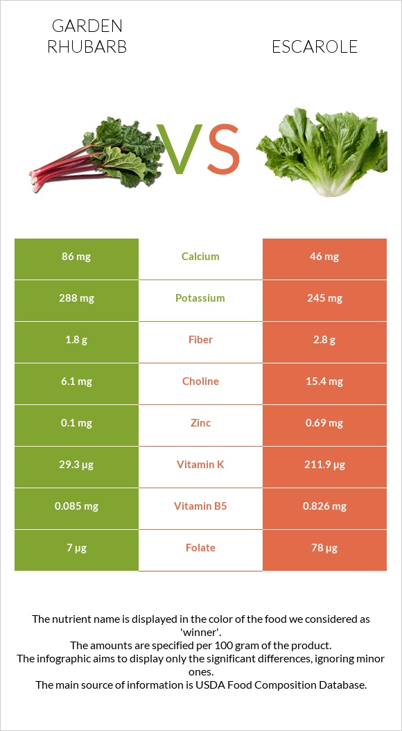 Garden rhubarb vs Escarole infographic