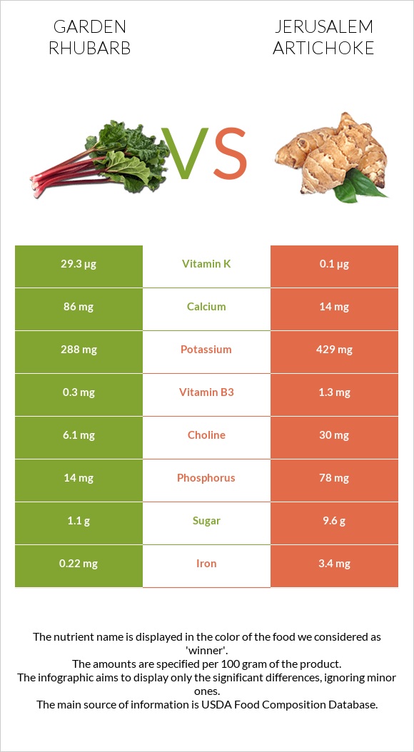 Garden rhubarb vs Jerusalem artichoke infographic