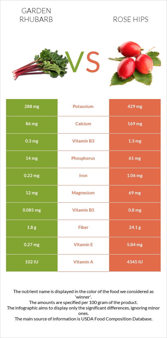 Garden rhubarb vs Rose hips infographic