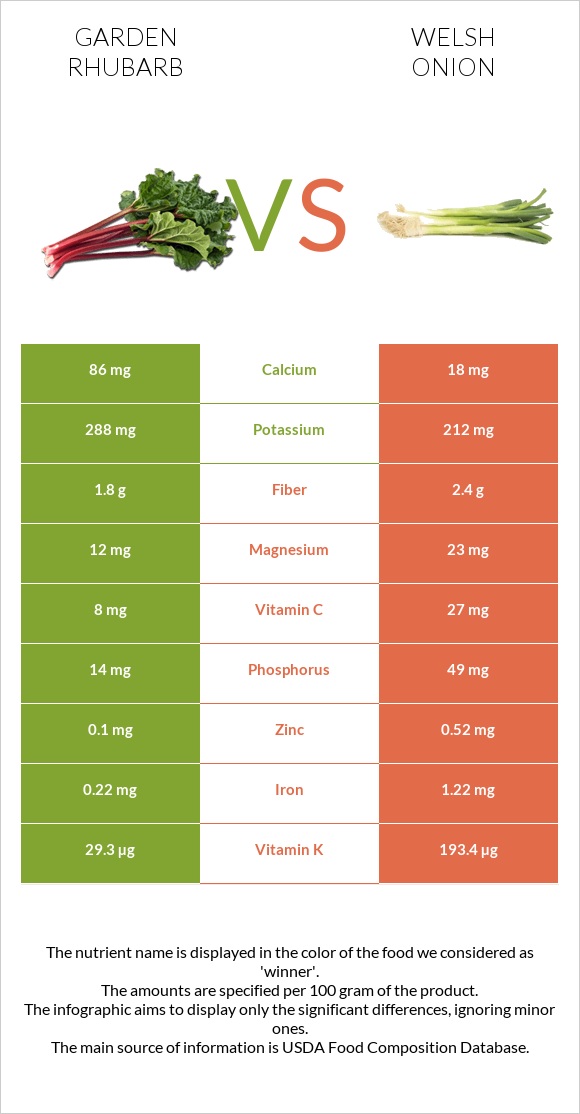 Garden rhubarb vs Welsh onion infographic