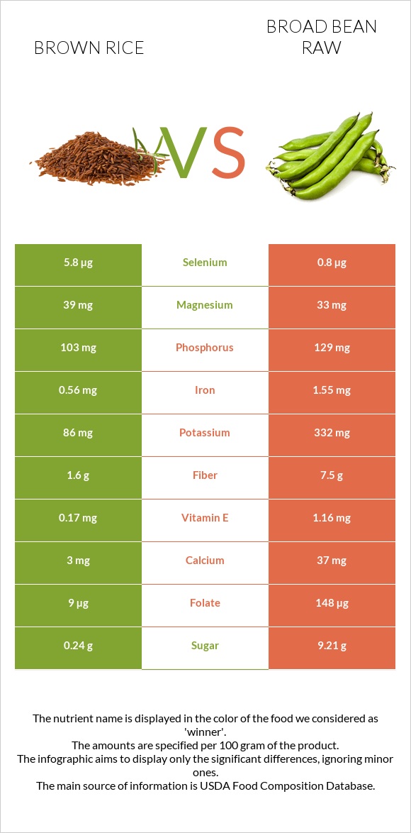 Brown rice vs Broad bean raw infographic