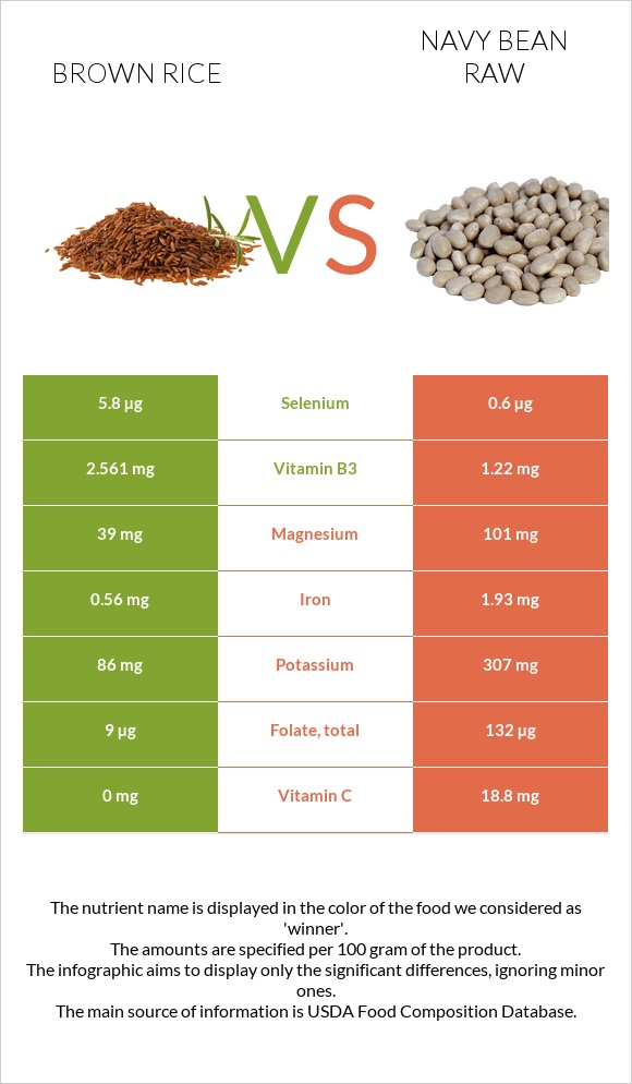 Brown rice vs Navy bean raw infographic