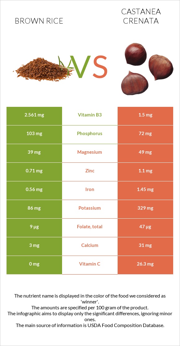 Շագանակագույն բրինձ vs Շագանակ (crenata) infographic