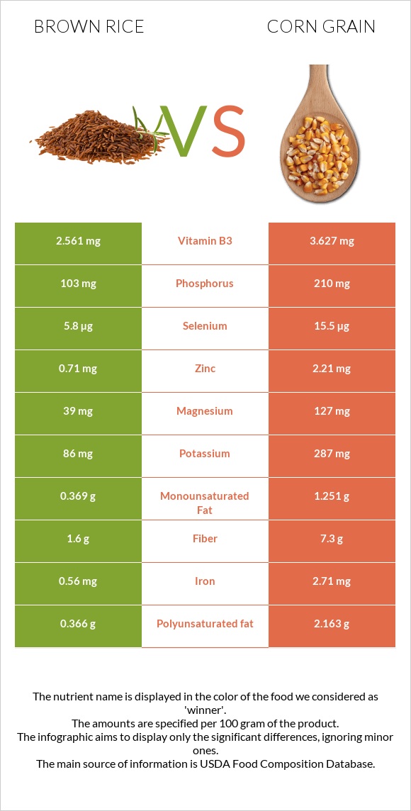 Brown rice vs Corn grain infographic