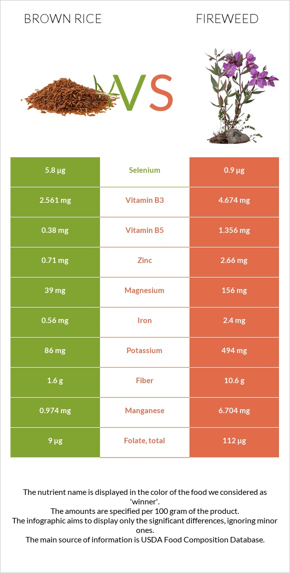 Brown rice vs Fireweed infographic