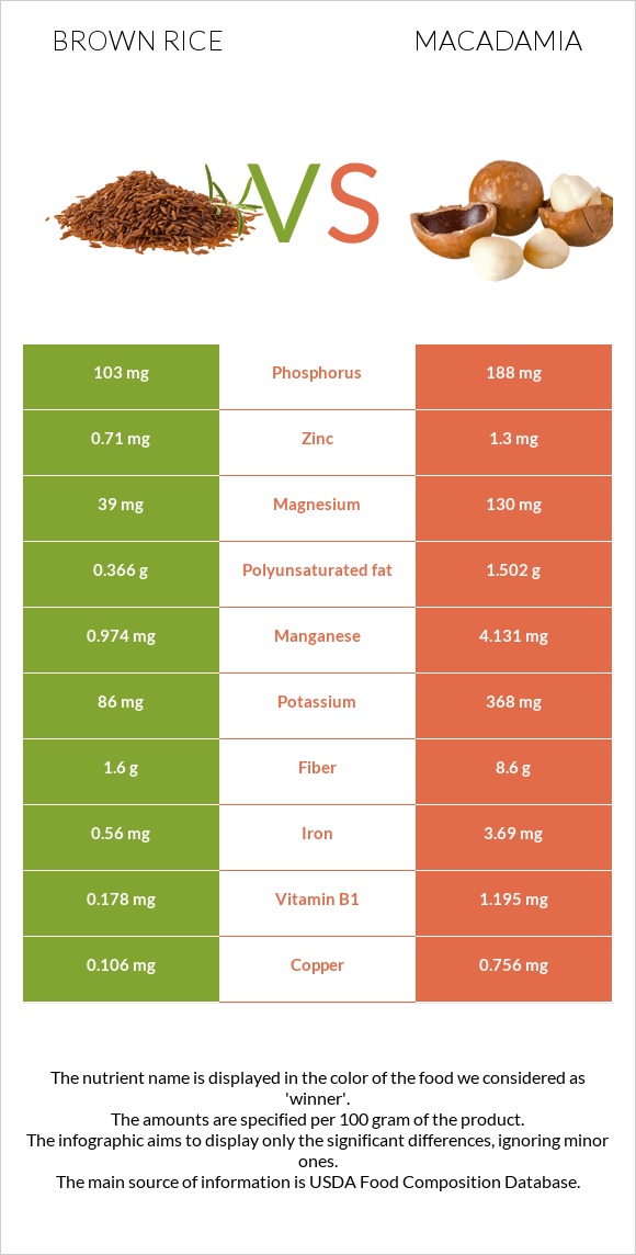 Brown rice vs Macadamia infographic
