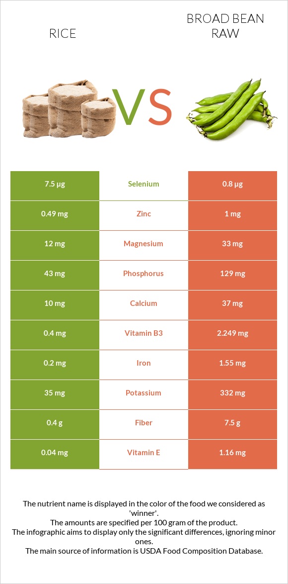 Rice vs Broad bean raw infographic