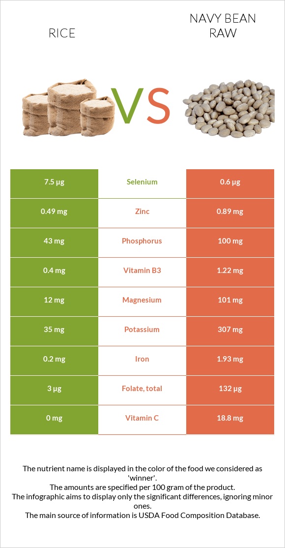 Rice vs Navy bean raw infographic