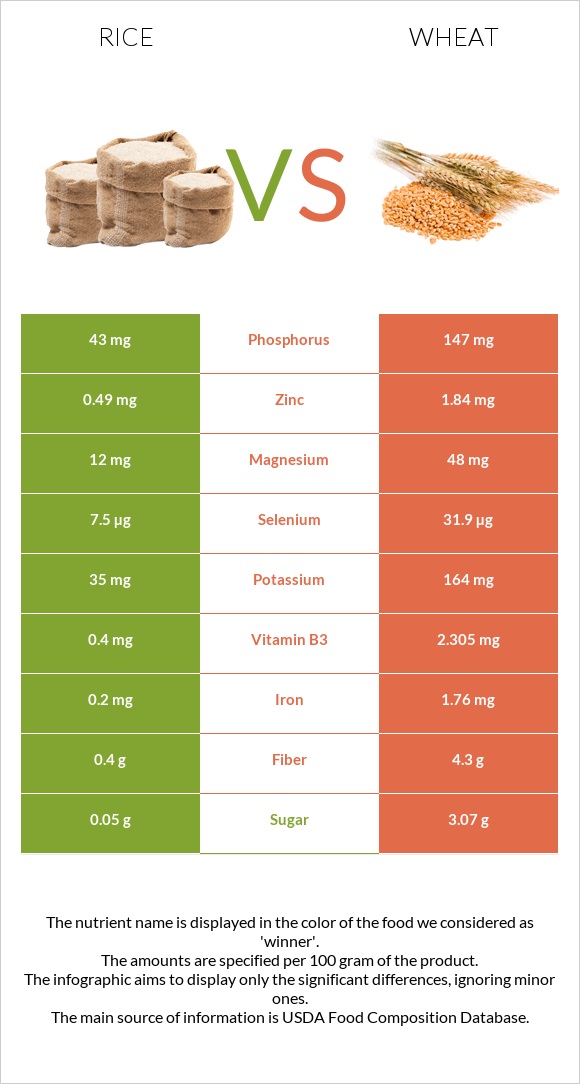 Rice vs. Wheat — In-Depth Nutrition Comparison