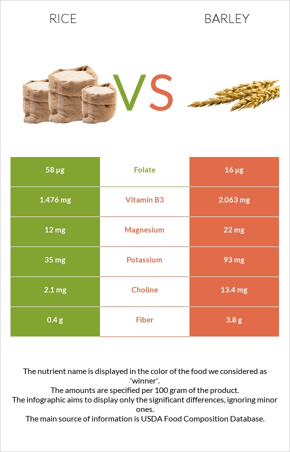 Rice vs Barley infographic
