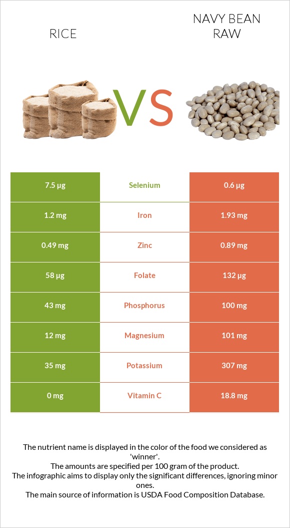 Rice vs Navy bean raw infographic
