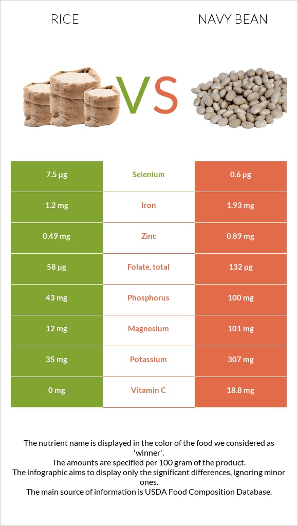 Rice vs Navy bean infographic