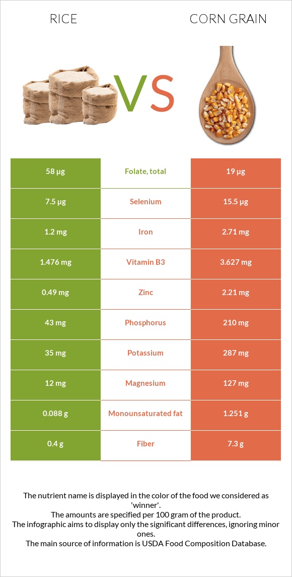 Rice vs Corn grain infographic