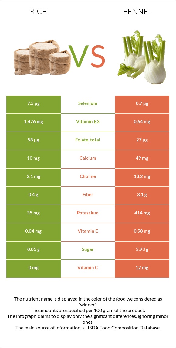 Rice vs Fennel infographic