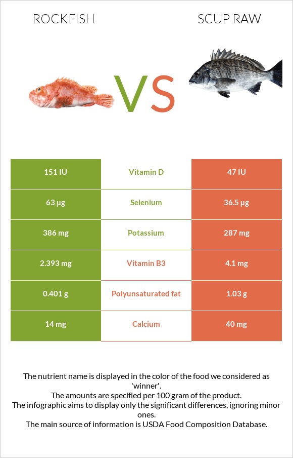 Rockfish vs Scup raw infographic