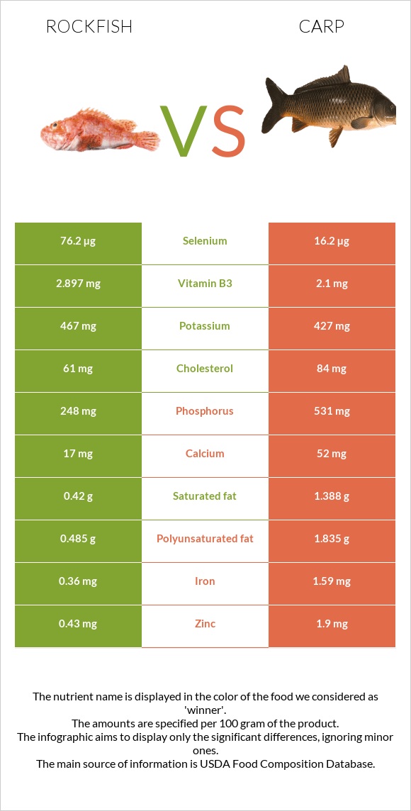 Rockfish vs Carp infographic