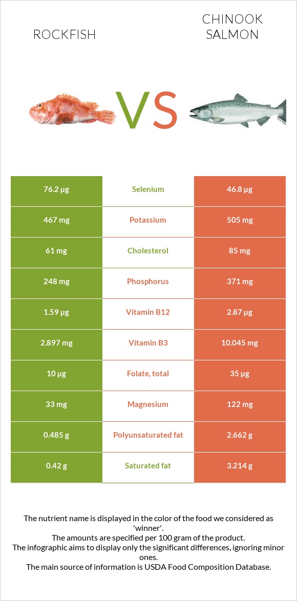 Rockfish vs Սաղմոն չավիչա infographic