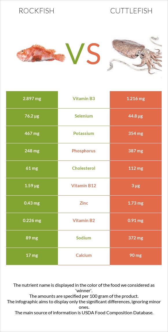 Rockfish vs Cuttlefish infographic