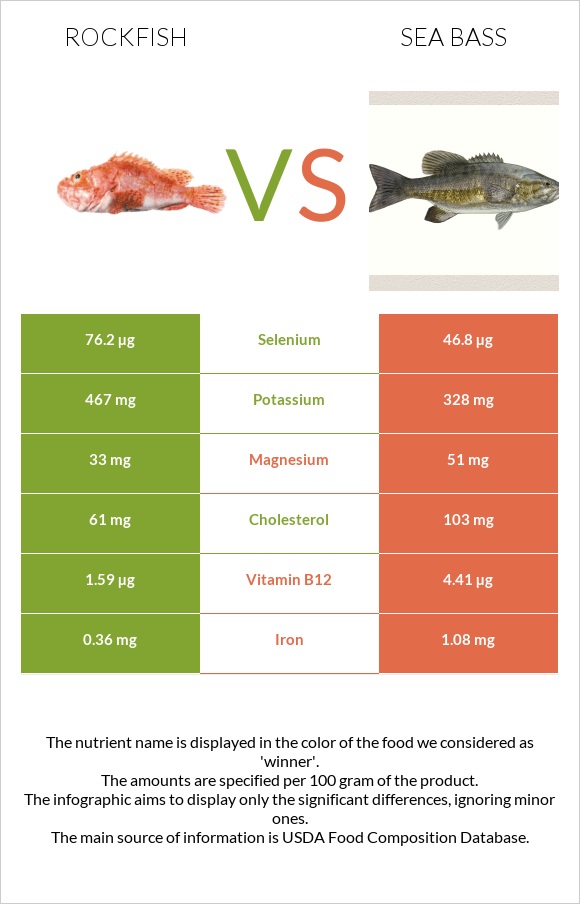 Rockfish vs Bass infographic