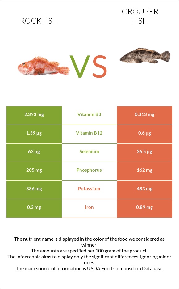 Rockfish vs Grouper fish infographic