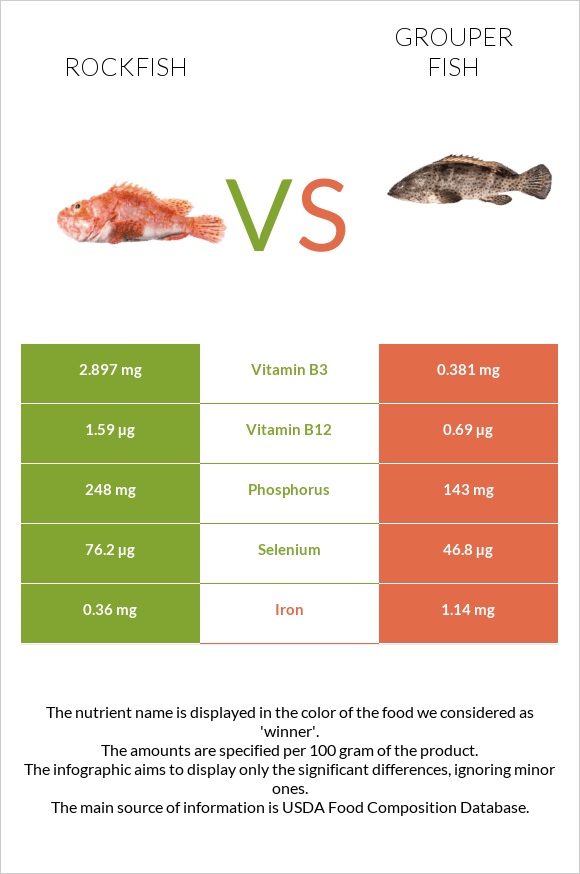 Rockfish vs Grouper fish infographic