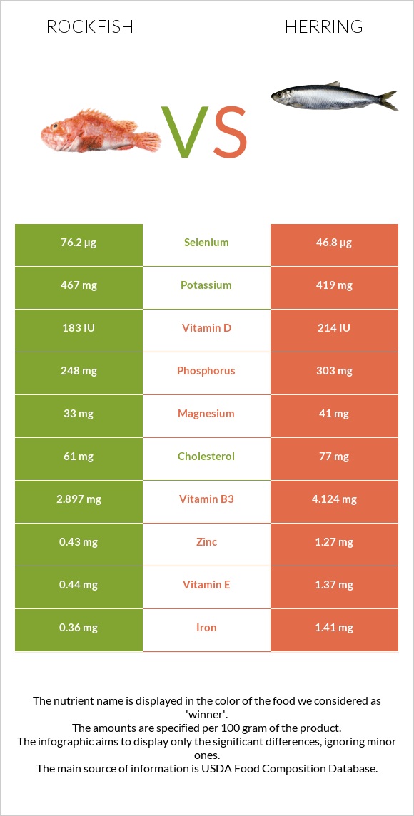 Rockfish vs Herring infographic