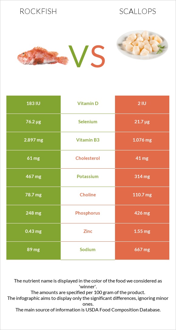 Rockfish vs Scallop infographic