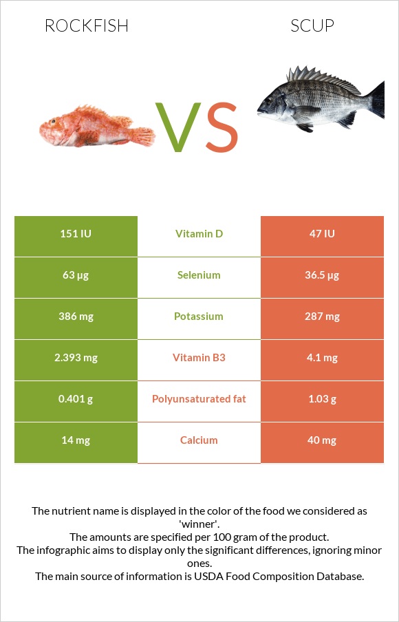 Rockfish vs Scup infographic