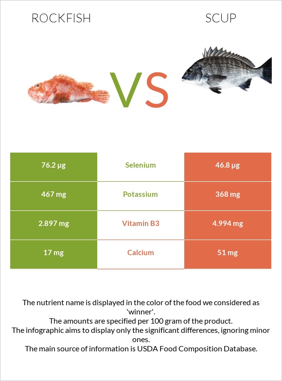 Rockfish vs Scup infographic