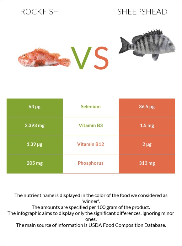 Rockfish vs Sheepshead infographic