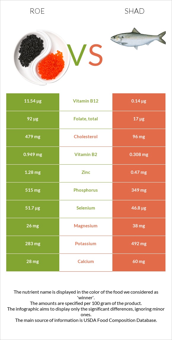 Ձկնկիթ vs Shad infographic