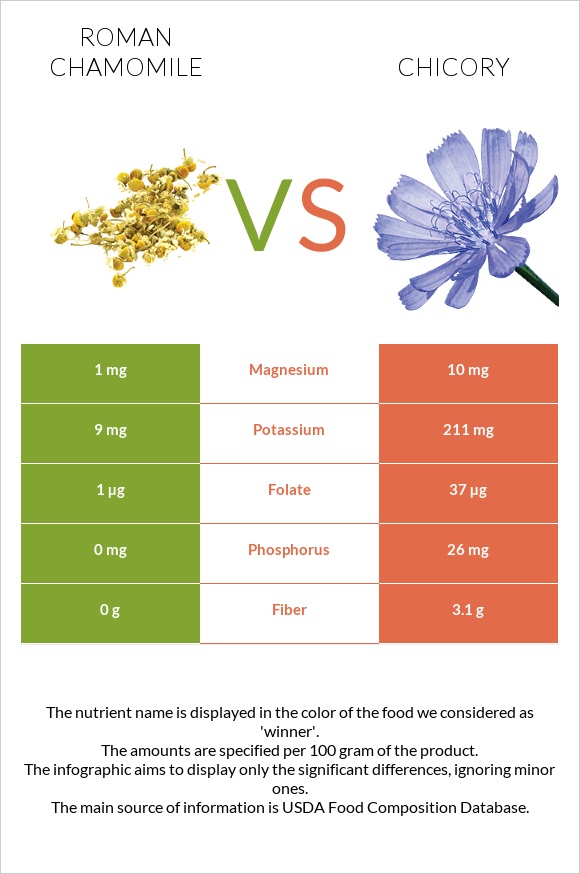Roman chamomile vs Chicory infographic