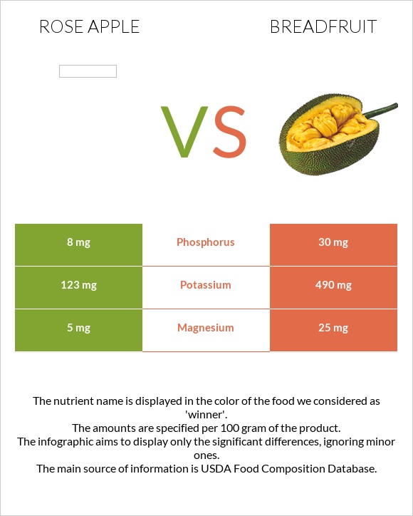 Rose apple vs Breadfruit infographic