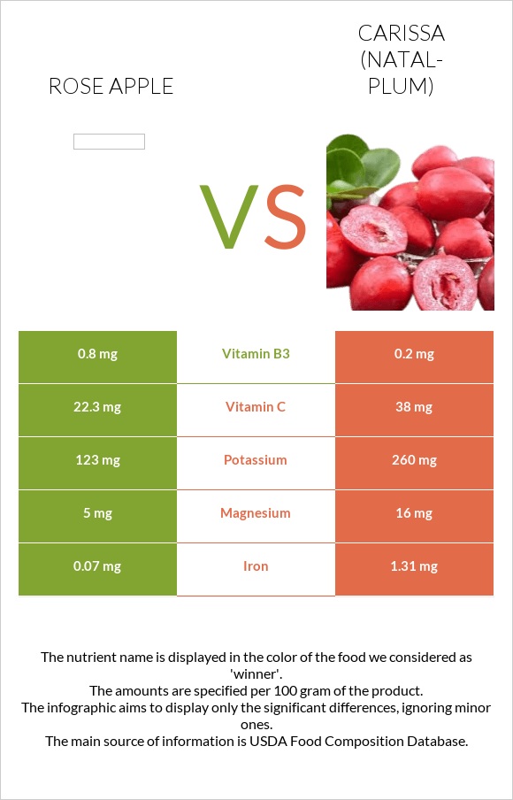 Rose apple vs Carissa (natal-plum) infographic